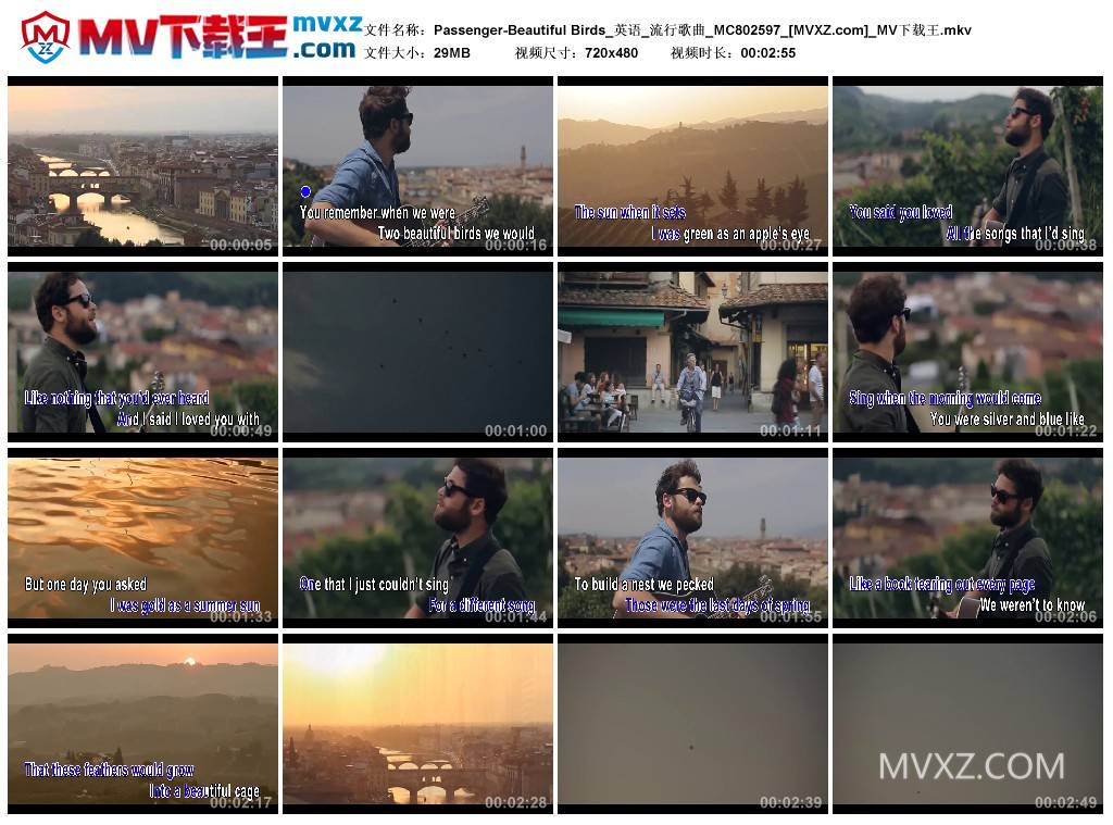 Passenger-Beautiful Birds_英语_流行歌曲_MC802597